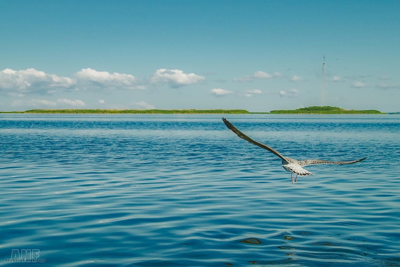 Отдых на ПСКОВском море / 4 дня