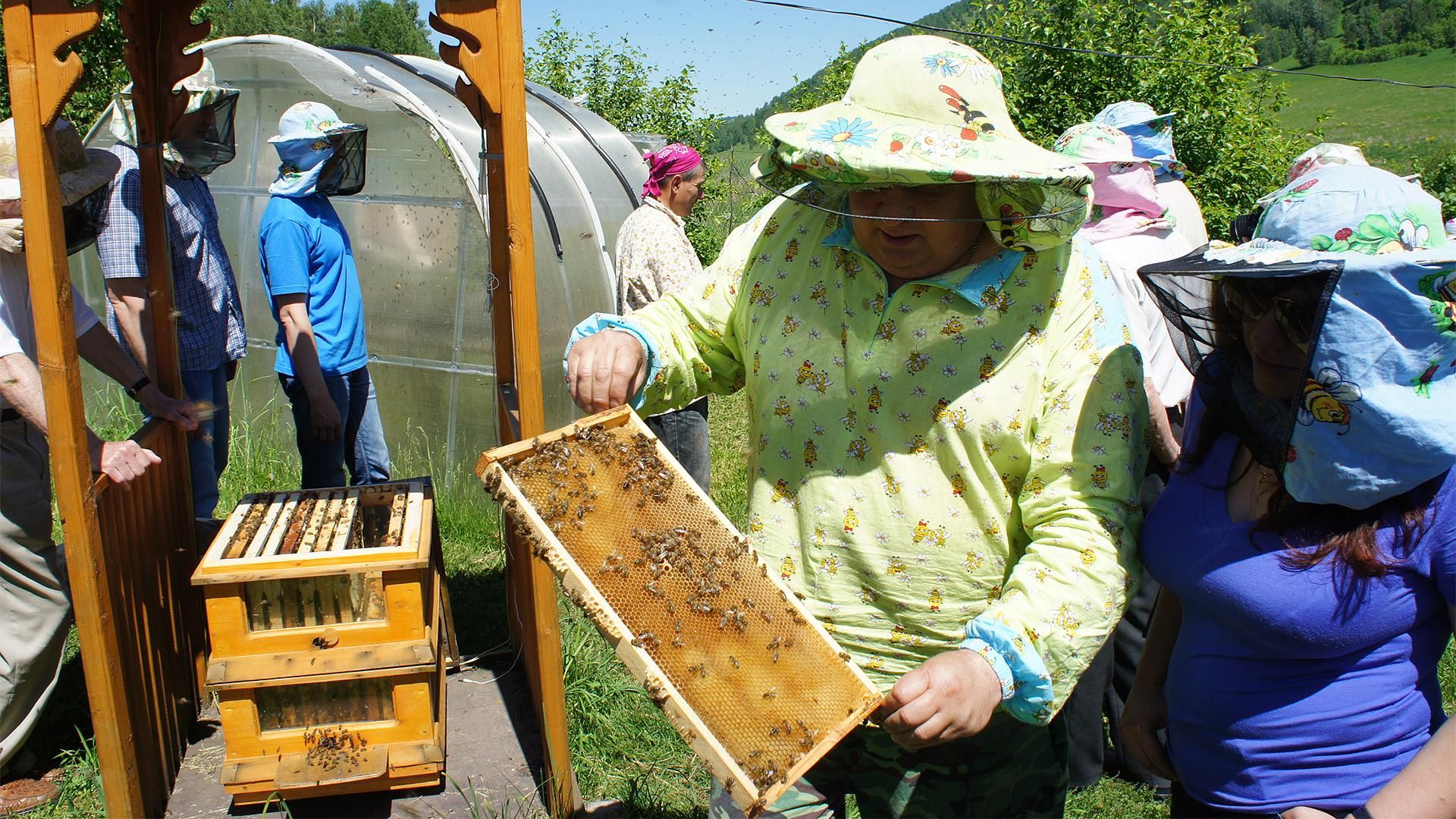 Алтай+Бурятия, концерт «Балет на Байкале»