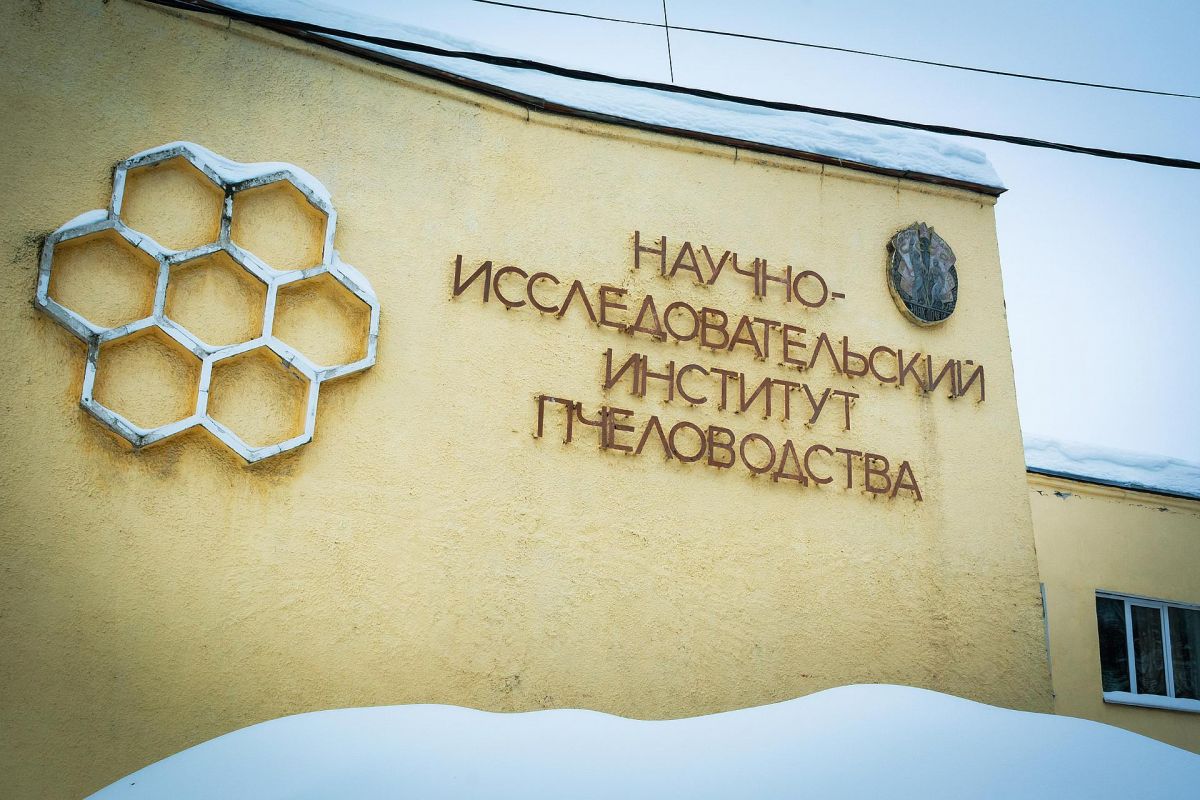 «Рождественское эхо. Кашира – Рязань», 2 дня