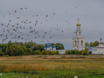 Загородная экскурсия по окрестностям