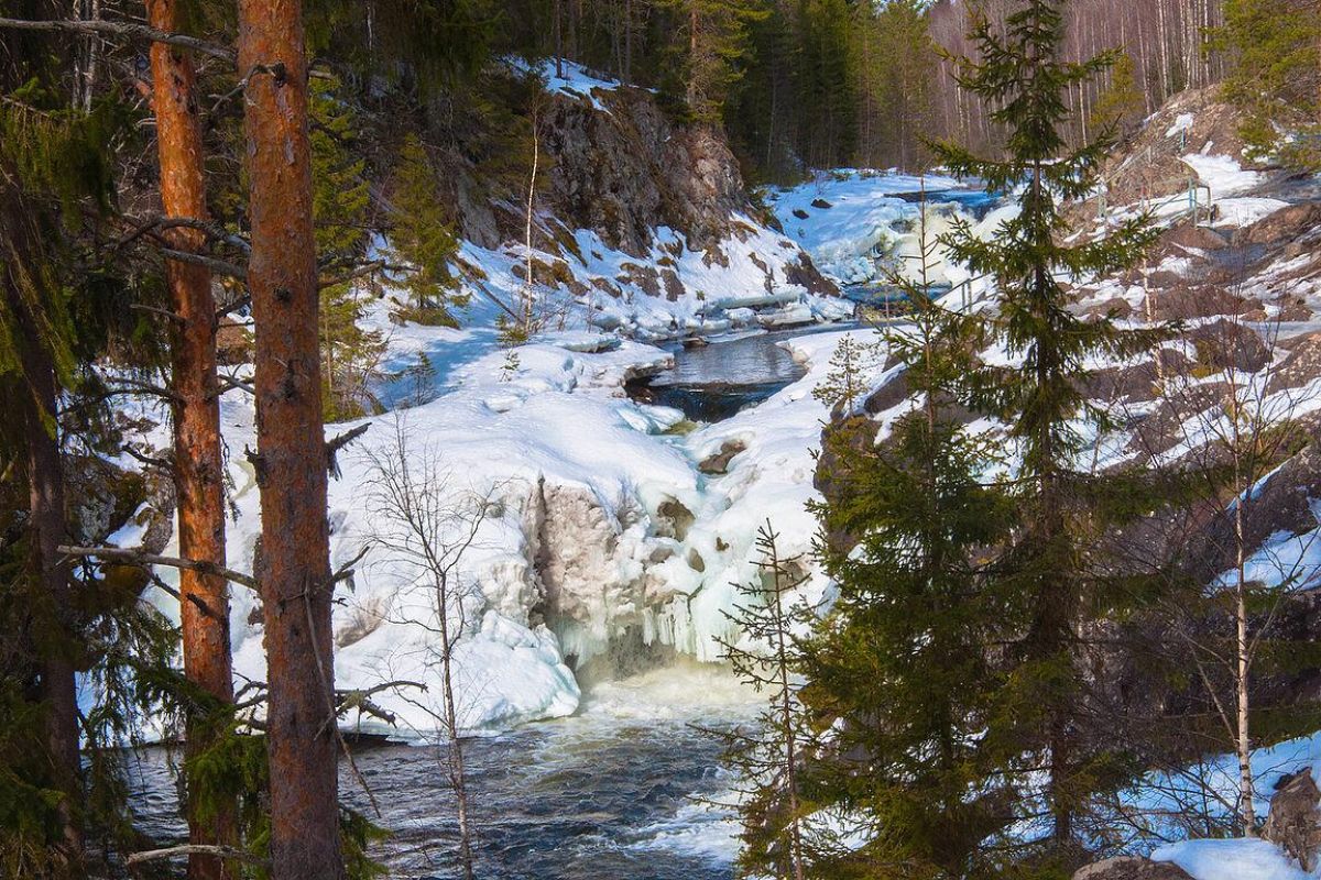 «Краски Севера» (3 дня/2 ночи)
