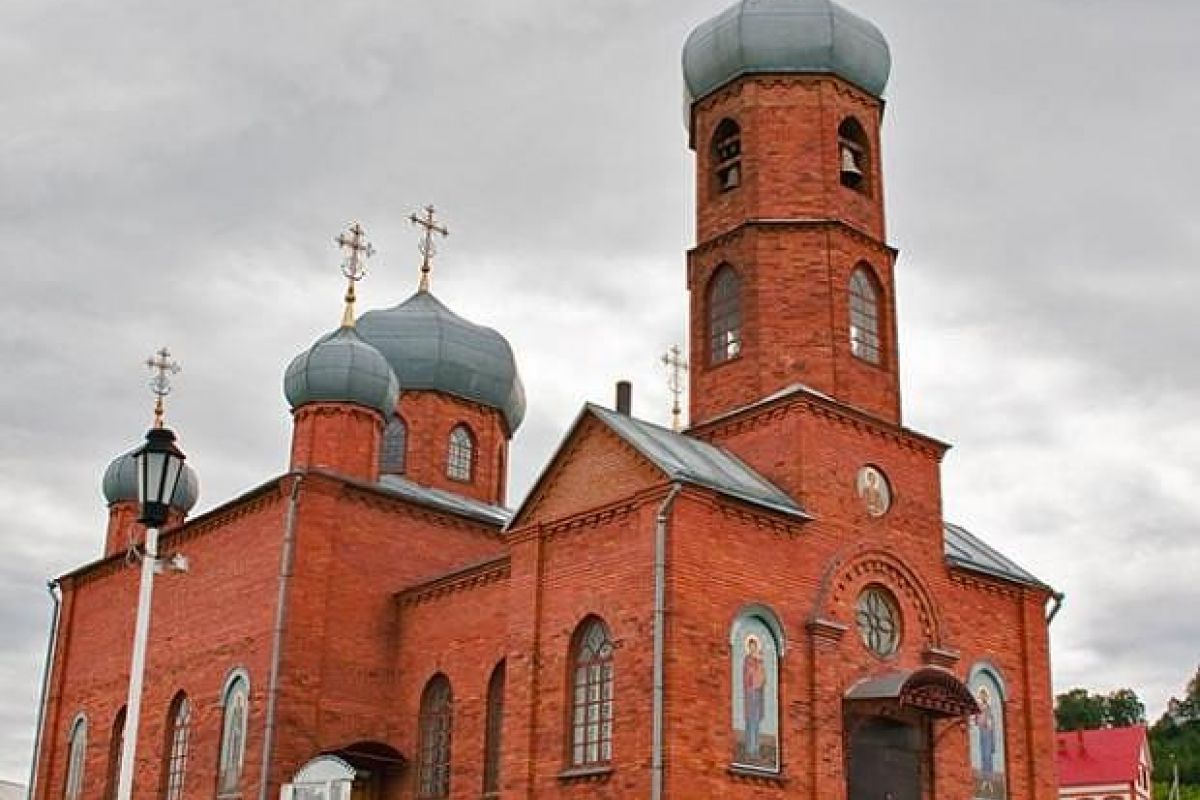 Цветение маральника на Алтае. Алтай весенний.
