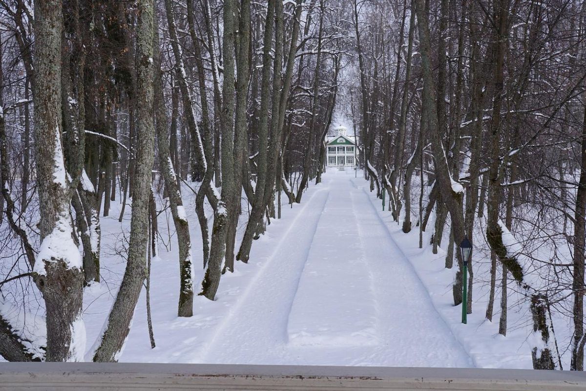 Новогоднее очарование провинциального городка 4 дня