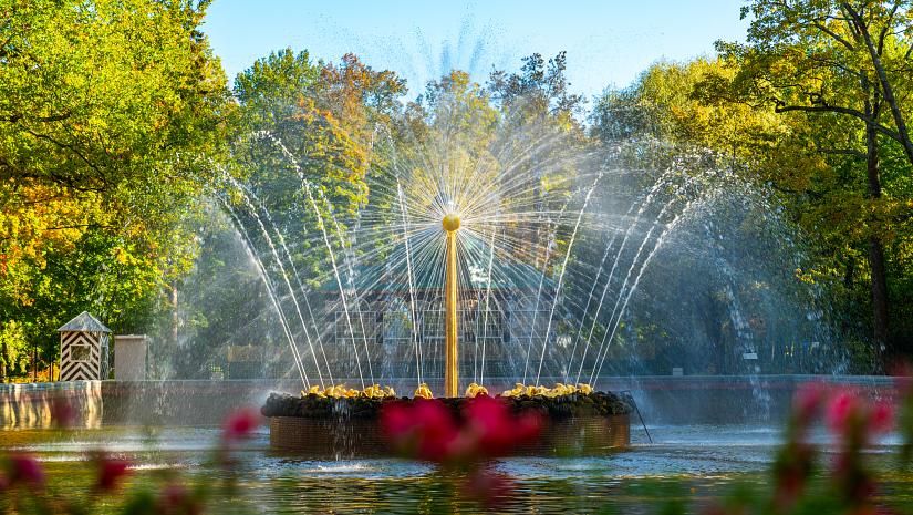 Тур «Знакомство с Карелией и Петербургом»