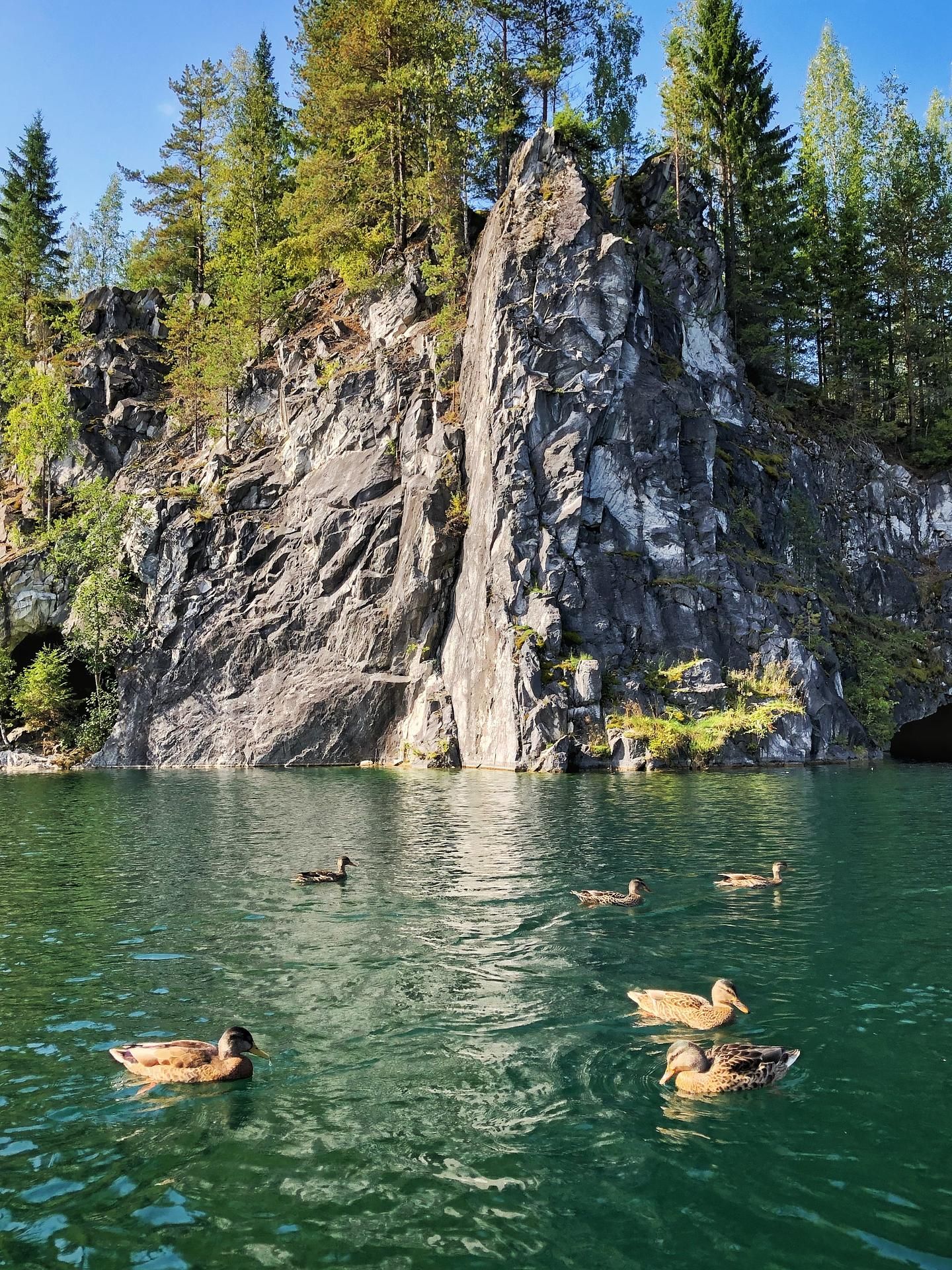 Карельские каникулы