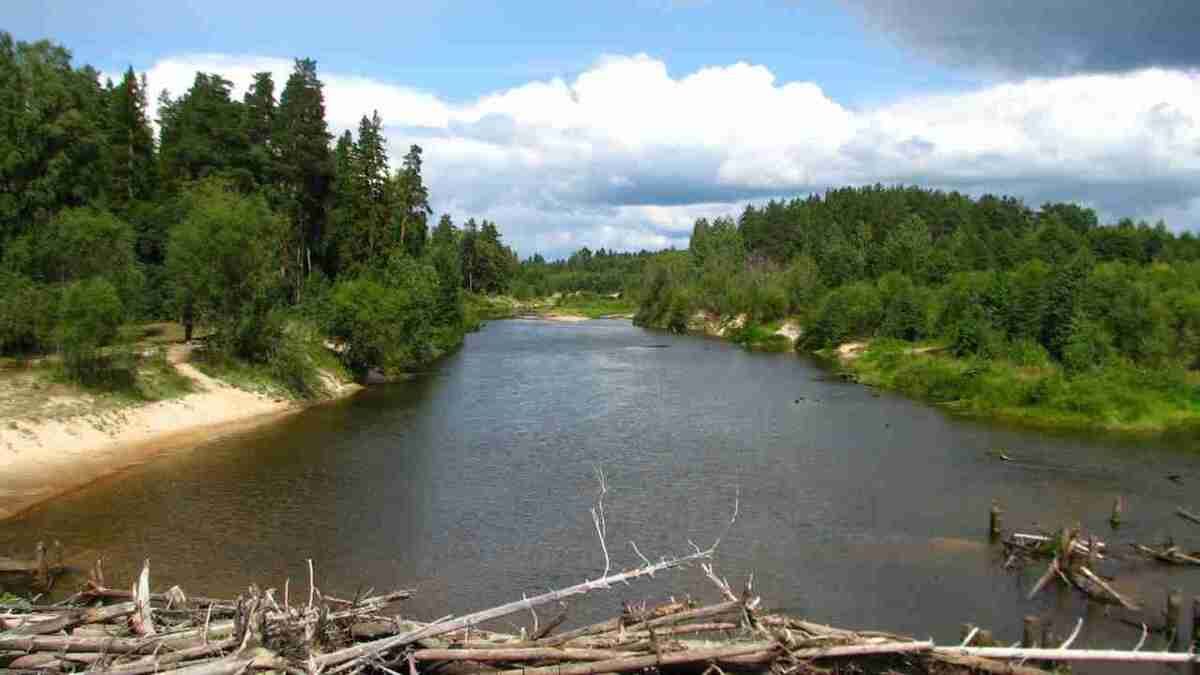 Керженский заповедник