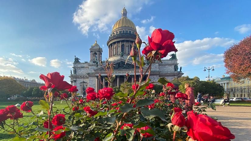 Тур «Северная мозаика»